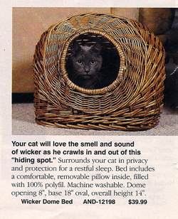 Illustration for article titled Doctors Foster & Smith: The Crazy Cat Lady Catalog